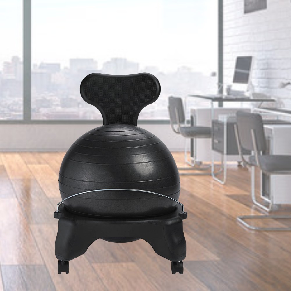 Balance Ball Chair: image 4